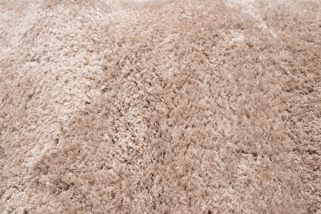 Carpet maintenance guide expert carpet cleaning tips