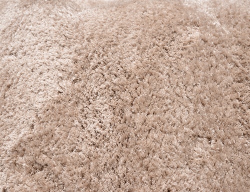 5 carpet maintenance tips for homeowners