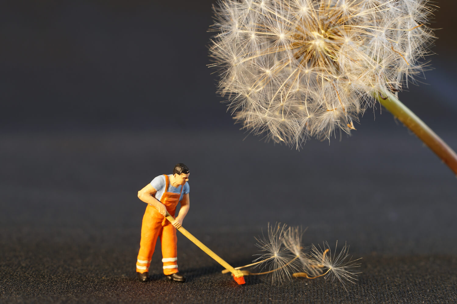 Efficient-Cleaning-How-to-Avoid-These-Common-Spring-Cleaning-Mistakes How to Avoid These Common Spring Cleaning Mistakes