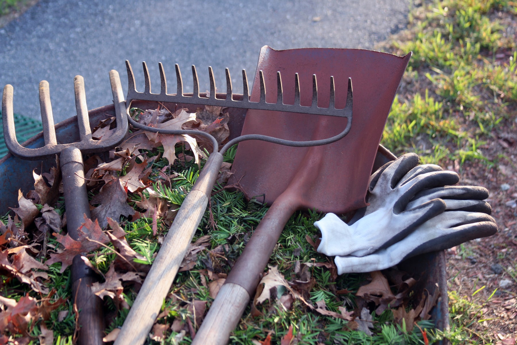  Garden clearance Surrey