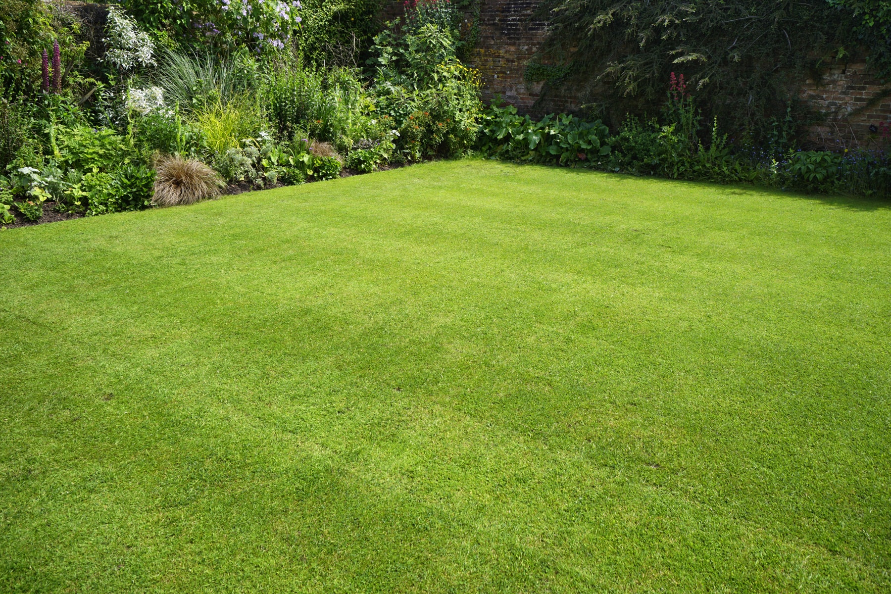  lawn maintenance Surrey