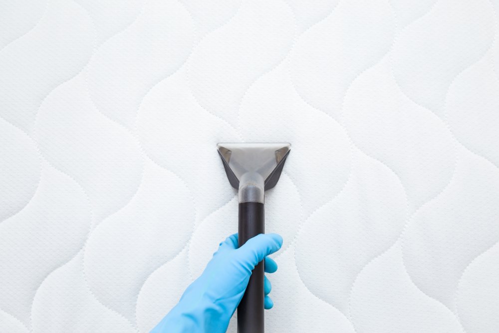Cleaning guide How to keep your mattress & bedding clean