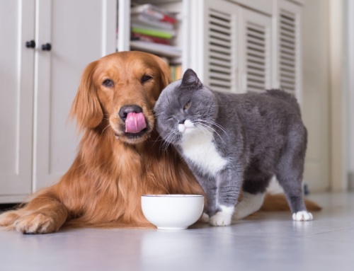 Pet-safe & child-safe cleaning methods