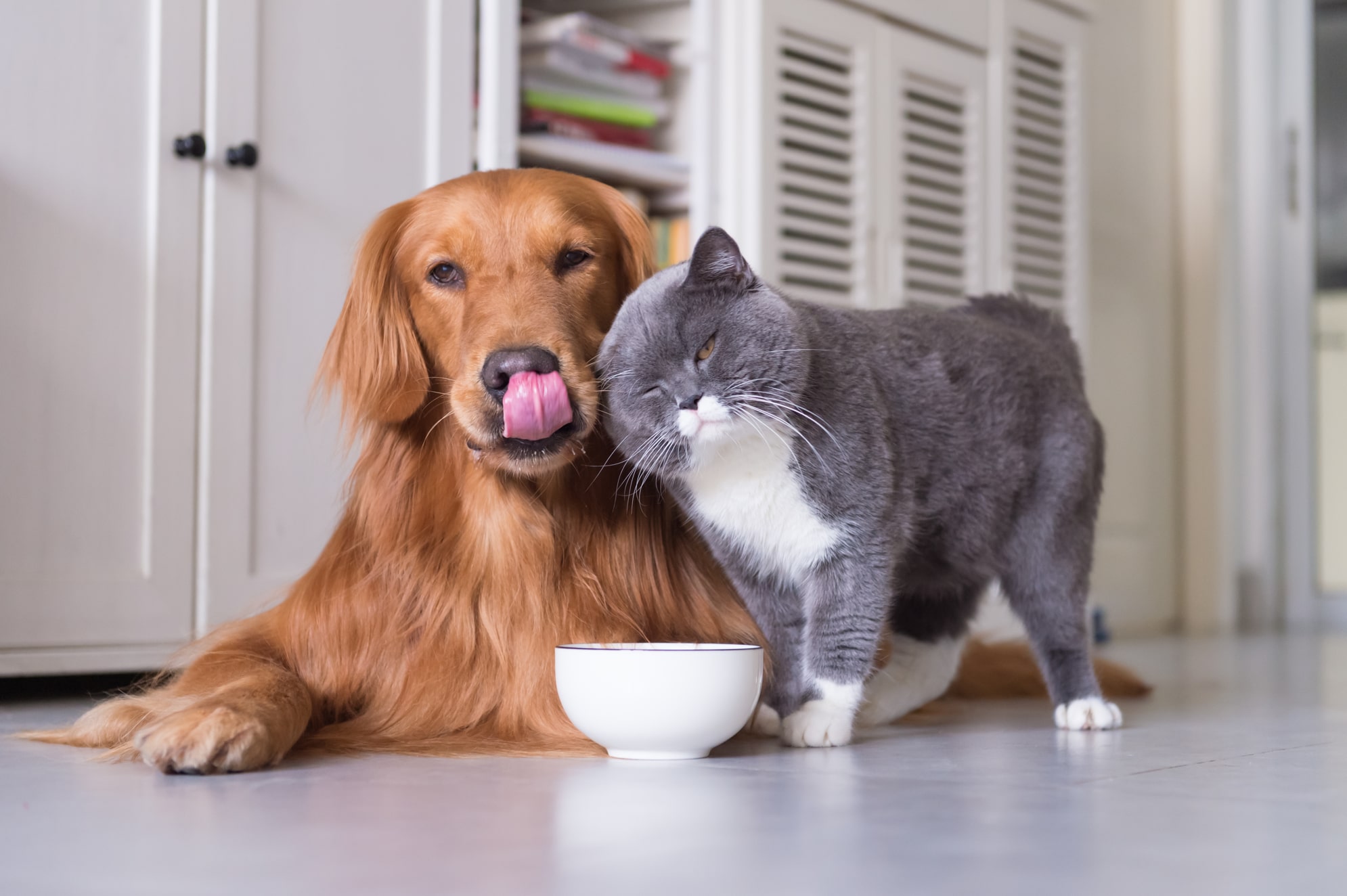 Pet-safe & child-safe cleaning methods